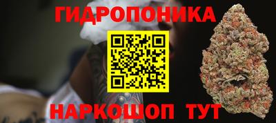 трава Донецк