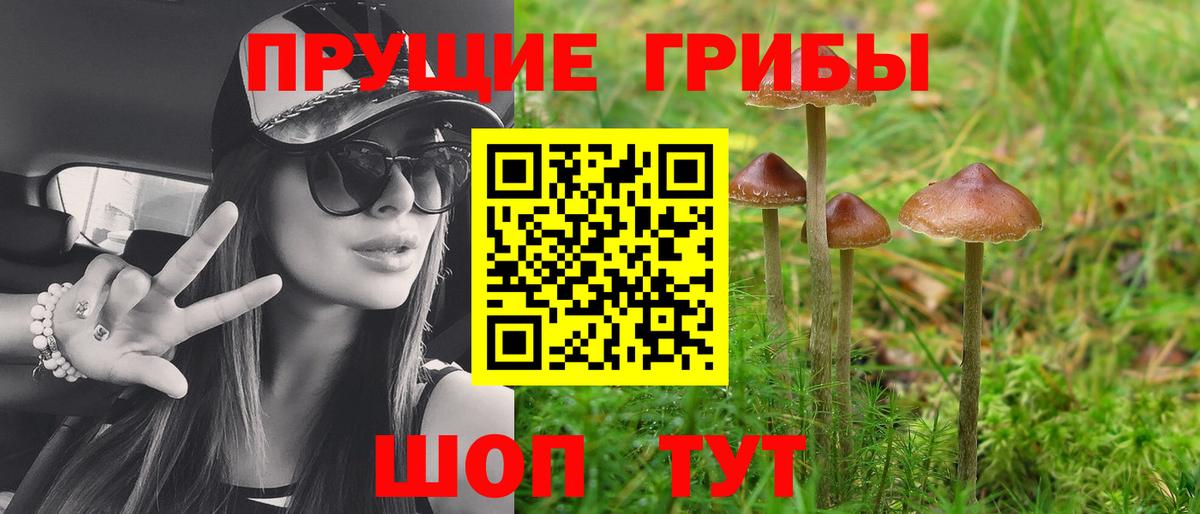 Галлюциногенные грибы Magic Shrooms  Псилоцибиновые грибы Psilocybe  Вход с VPN  Нижний Новгород 